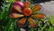 Garden Art - Orange Metal with Glass Flower - Sphere with Petals