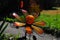 Garden Art - Orange Metal with Glass Flower - Sphere with Petals