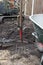 Garden or backyard renovation by professionals in spring, garden works