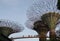 Garden by the bay, Architecture column, Singapore