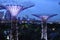 Garden by the Bay Super trees Singapore Asia
