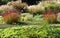 Garden beds with perennials and ornamental grasses