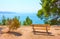 Garden with bench on the coast in Aegina