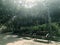 Garden bench, green plant, sunlight, lamp and footpath