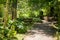 Garden bench overlooking a garden in New Zealand