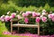 A garden bench surrounded by blooming peonies