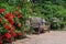 Garden bench surrounded by blossom bushes