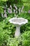 Garden Birdbath