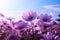 Garden blooms Purple cosmos flowers grace the natural landscape