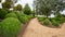 Garden with boxwood balls