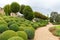 Garden with boxwood balls