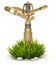 Garden brass water sprinkler on bush grass