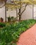 Garden and Brick Pathway in Spring