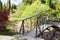 Garden bridge silence scene. Wooden bridge in the park in summer time. Arch bridge in park with autumn foliage in background. Gard