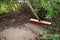 Garden broom brush with a pile of leaves in a garden yard.