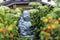 Garden Buddha under wooden bridge with orange flowers