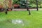 Garden bushes, tree and green grass lawn covered with water due to snow melting thaw and flash high water at spring. Natural