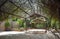 Garden Canopy at the Albuquerque Botanical Garden