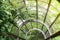 Garden Canopy at the park