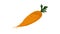 Garden carrot icon animation