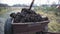 Garden cart with a pile of organic fertilizer transported on farmland in late autumn