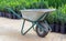 Garden cart for transporting plants, soil and fertilizers