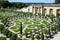 Garden of the castle of Versailles (France)