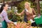 Garden center worker selling potted flower customer