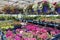 The Garden Centre at the supermarket.  Flowers in a pot. Different plants, flowers, seedling, fertilizer, flower in hanging basket