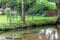 Garden chairs and garden table directly at a little creek and floating river, birch trees and idyllic scene are the perfect travel