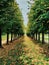 Garden of the Chateau de Chantilly, important historical monument in the north of Paris, France