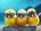 Garden chicken small farming animal sunglasses young poultry yellow happy cock background chick bird