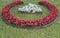 Garden composition from a begonia of ever flowering and a tsinerariya seaside on a lawn