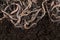 Garden compost and worms - earthworms in black soil as background, top view