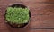 Garden cress on wooden background. Pepper grass