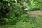 Garden damaged by typhoon