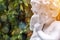 Garden decorate background concept. White vintage statue cupid