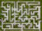 Garden Decoration is a maze with Green leaves wall fence with co