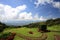 Garden decoration at the peak of Doi Inthanon