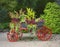 Garden decoration, with soft oil painting effect.