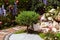 Garden design landscaping