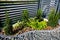 Garden detail: fence with cypress trees corner