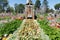 Garden display in Queens Park, Toowoomba