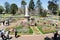 Garden displays in Queens Park, Toowoomba