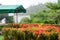 Garden of diverse flowers with dense forest and large lake in the background