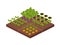 Garden eco farm land with fruit plants and vegetables.