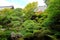 Garden at Eikan-d? Temple, a major Buddhist temple with ancient art and Zen garden