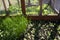 Garden enclosure to protect vegetables from small animals