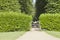 Garden entrance gate into tree park inside green hedge