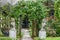 Garden Entrance with Trellis, Lion Statues